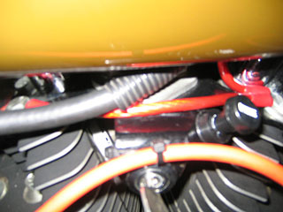 b0047907_2503859.jpg