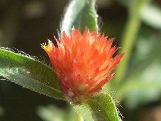 b0061107_015397.jpg