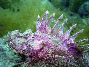 b0044726_10141167.jpg