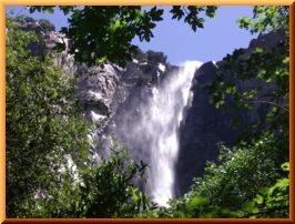 e0075832_1540477.jpg