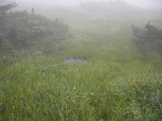 f0003138_1040094.jpg
