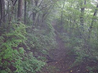 f0003138_111567.jpg