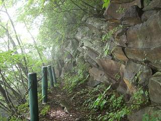 f0003138_1123914.jpg
