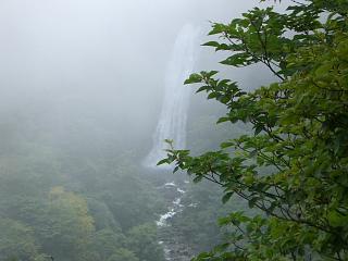 f0003138_1144434.jpg