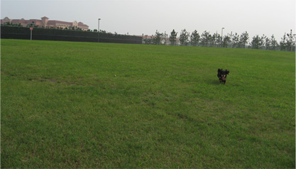 f0098841_8552137.jpg