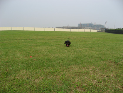 f0098841_855341.jpg