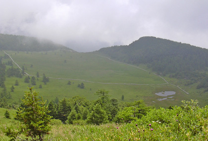 a0001354_19205253.jpg