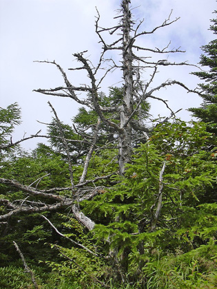 a0001354_19221319.jpg