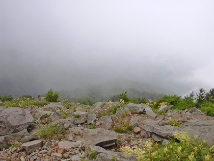 a0001354_19231933.jpg