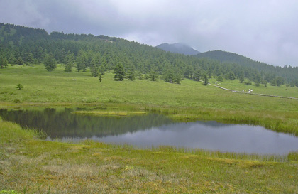 a0001354_19421530.jpg