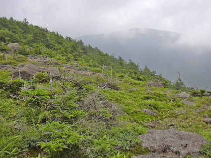 a0001354_19454287.jpg