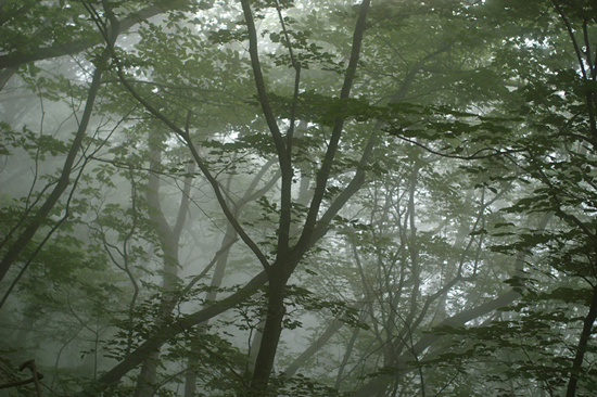 c0071866_22253490.jpg