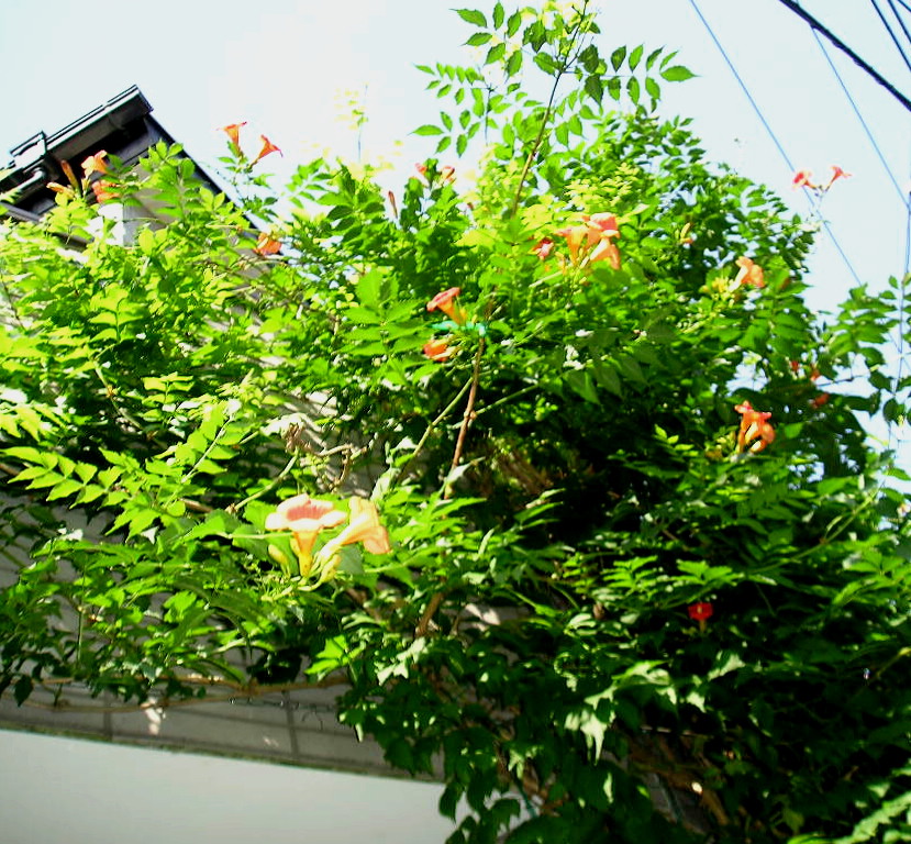 f0007580_2238990.jpg