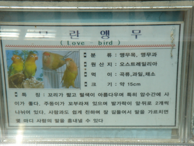 f0091590_14282729.jpg