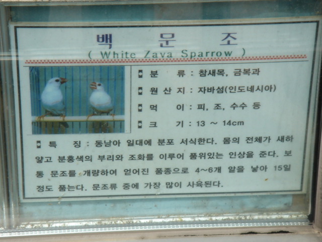 f0091590_14284784.jpg