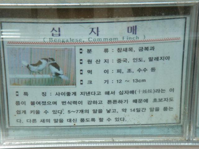 f0091590_1429410.jpg
