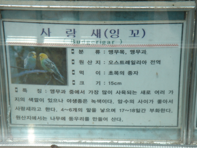 f0091590_2444024.jpg