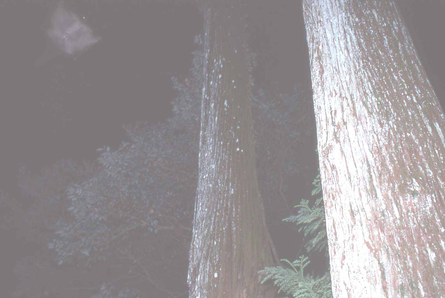 f0047593_2040027.jpg