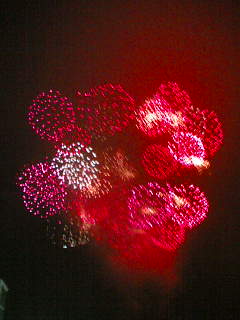 d0070094_83784.jpg