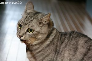 d0052096_23375571.jpg