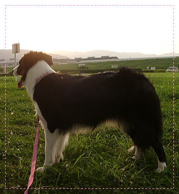f0082396_2123581.jpg
