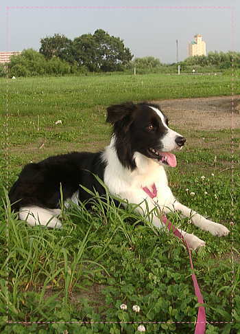 f0082396_21242878.jpg