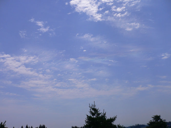 c0007501_1513419.jpg