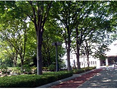 a0074202_2138266.jpg