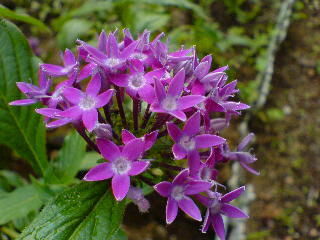 f0052603_23584021.jpg