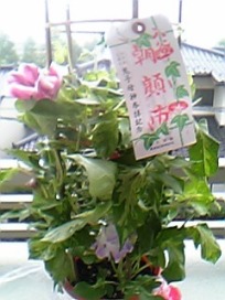 c0022926_10442985.jpg