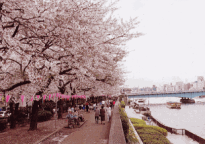e0016828_020227.gif