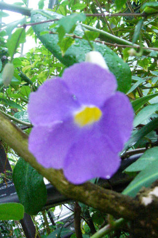 c0032138_9223044.jpg