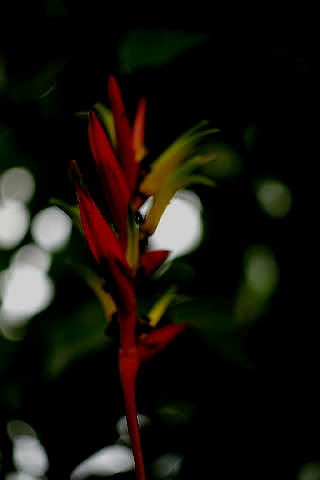 c0032138_923371.jpg