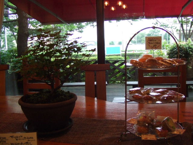 c0071545_22255835.jpg