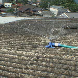 e0069646_1111868.jpg