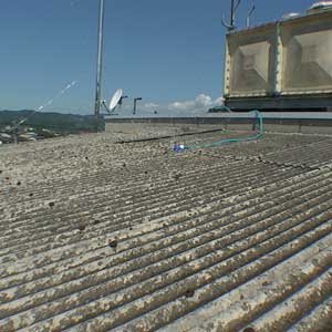 e0069646_111475.jpg