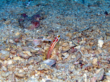 d0065247_13441390.jpg