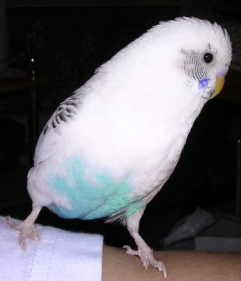 c0054148_9215761.jpg