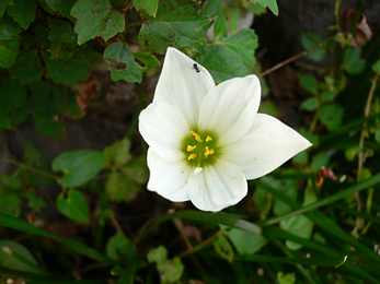 c0069048_615230.jpg