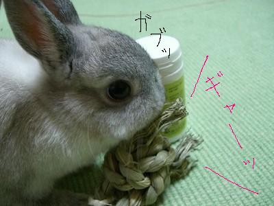 f0104057_23165410.jpg