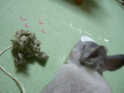 f0104057_23291783.jpg