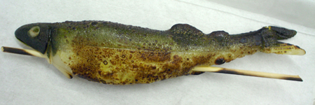 c0010759_2071911.jpg