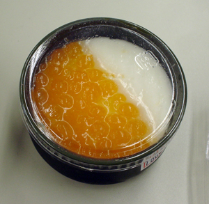c0010759_2082744.jpg