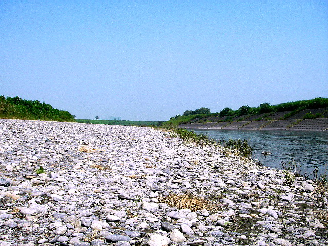 f0084561_13151812.jpg