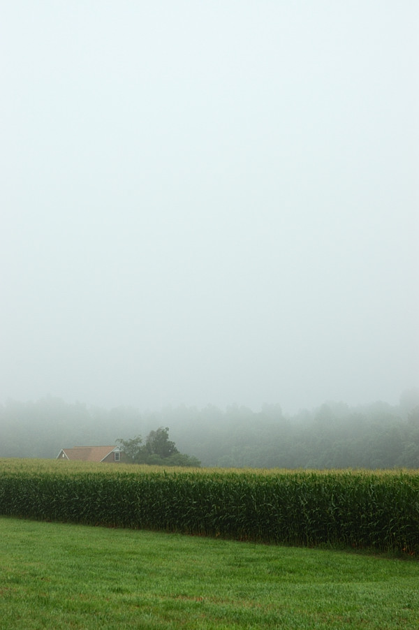 c0084666_3202659.jpg