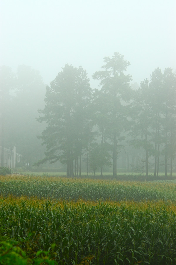 c0084666_321145.jpg