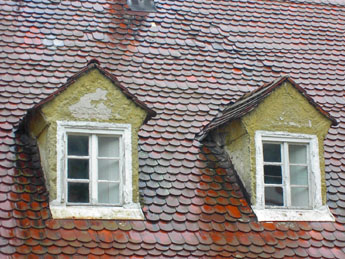 f0032969_34002.jpg