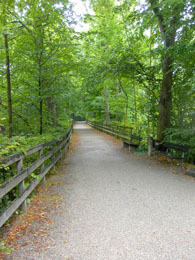 f0032969_3444652.jpg