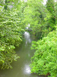 f0032969_345763.jpg