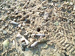f0015381_3201275.jpg